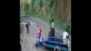 Download lagu meme absurd humor part 6 #meme#shortvideo#funny mp3