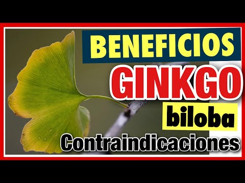 Por Estas Razones Deberías Consumir Ginkgo Biloba