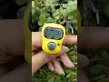Tally Counter Chanting Vrindavan Iskon Bhaktitoday