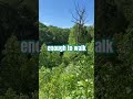 Exploring Our Wild Lands Gratitude Relaxingmusic Healing Nature Windy Nationalforest Blessed
