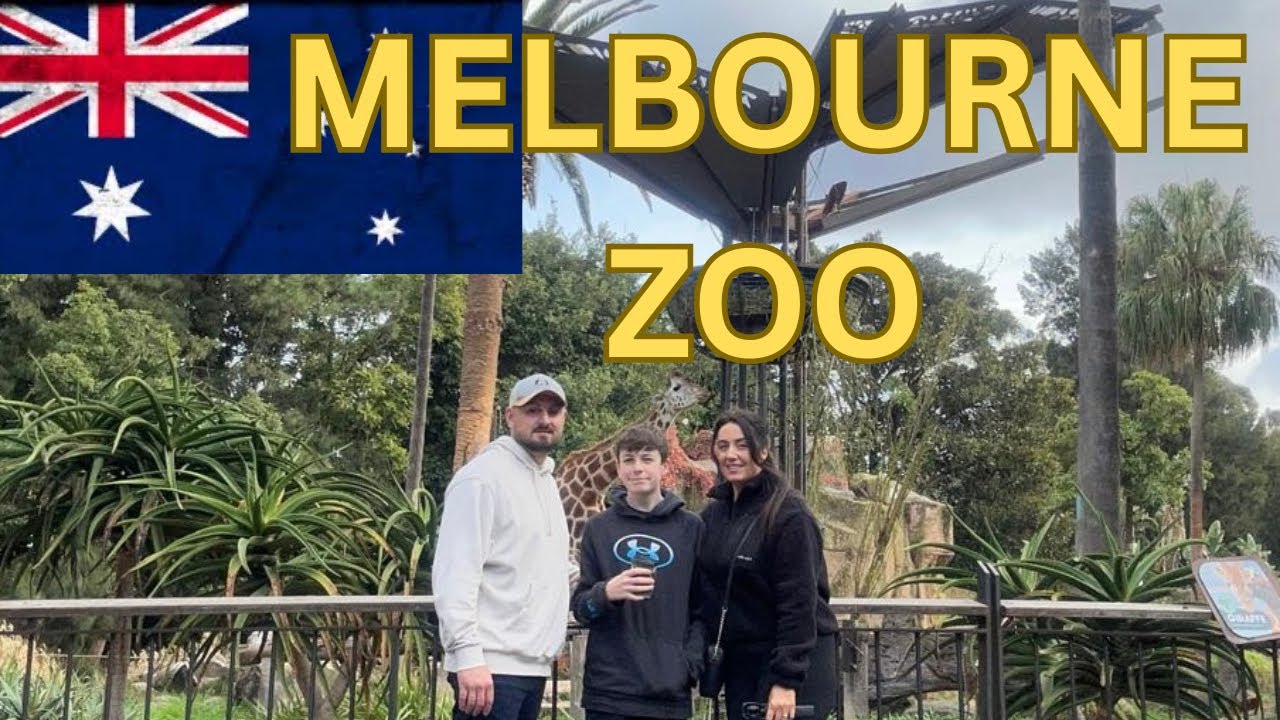 A family embarks on a visit to Melbourne Zoo.