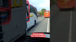 Download lagu BALAPAN !!! BUS SUGENG RAHAYU PATAS VS EKA CEPAT#busmania #bus #infojalanraya #shorts mp3