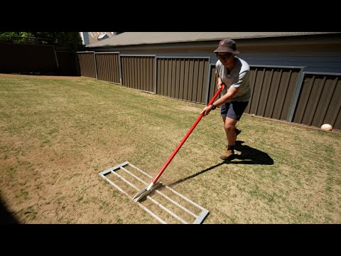 Home Lawn Renovation