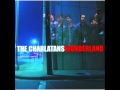 THE CHARLATANS - The bell and the butterfly