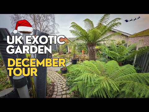 Tropical Style Garden Tour - December 2025