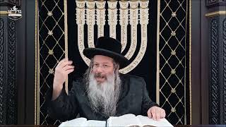 הרה"ג ר' שמעון שנייבלג שליט”א | דבר חינוך אקטואלי מהפרשה | פרשת לך לך | אידיש