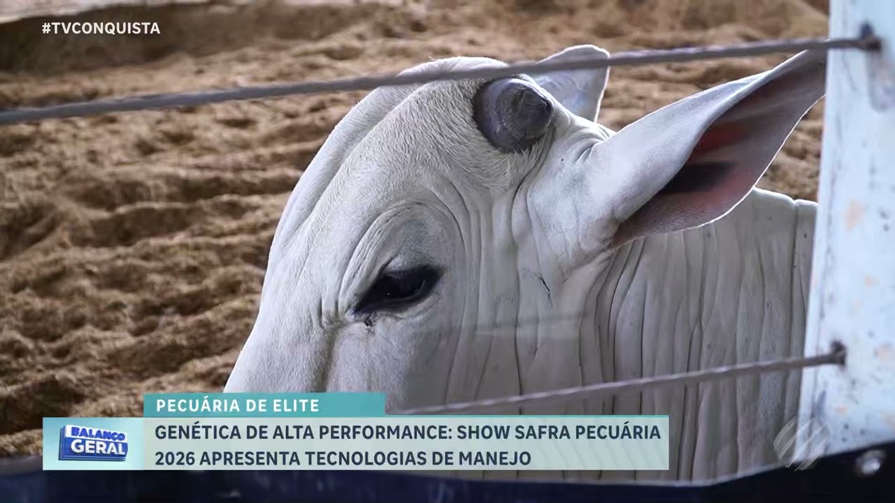 Show Safra Pecuária 2026 destaca genética bovina e inovação no campo