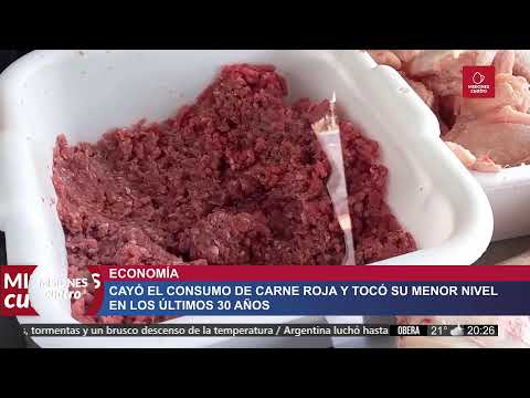 [EN VIVO] Misiones Cuatro, todas las noticias de Misiones, Argentina y el Mundo