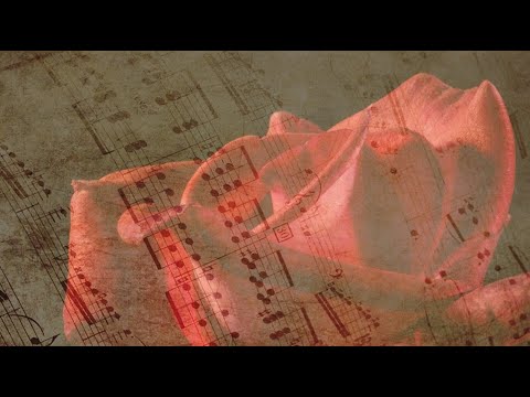 Deep relaxation by indirdur-Murat-Isbilen-Gulumcan music