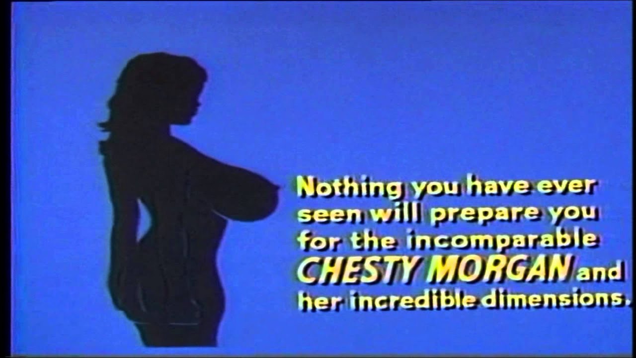 Miniature de la vidéo Double Agent 73 (1974) - Trailer du film Supernichons contre mafia