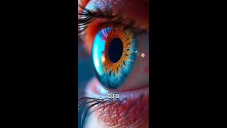 The Amazing Colors of Our Eyes