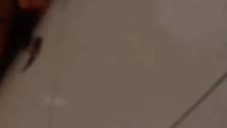 Download lagu Virza )Tentang Rindu) cover Tomi gunawan 30s mp3