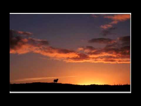 My Forever Friend - John McDermott