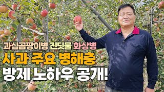 사과 과심곰팡이병 진딧물 화상병 모두 방제! 일손 줄이고 효과는 높이는 병해충 방제법