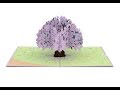 Mothers Day Valentines Day Birthday Jacaranda Tree From LovePop Review | Quick Look