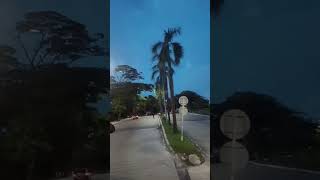 Download lagu darkness has overtaken the road coming from outing #shortvideo #weekendgetaway mp3 Download lagu darkness has overtaken the road coming from outing #shortvideo #weekendgetaway mp3