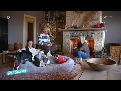 Η μεγάλη αγάπη του Στέλιου Ρόκκου και της Λελέ Γκόφα για τα ζώα – Η ζωή στη Λήμνο και η ξυλουργική