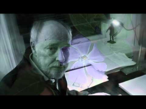 Anders Eliasson - Concerto for Alto Saxophone & String Orchestra (2003)