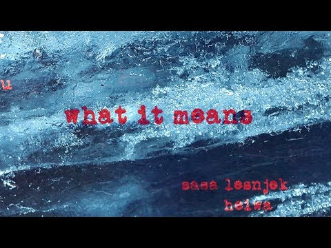 Hyu - What It Means (Feat. Sasa Lesnjek & Heiwa) (Audio)