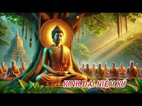 KINH NIKAYA - KINH TRƯỜNG BỘ - KINH ĐẠI NIỆM XỨ -