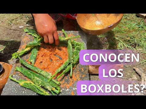 Vean como se realiza esta RICA! comida ancestral!