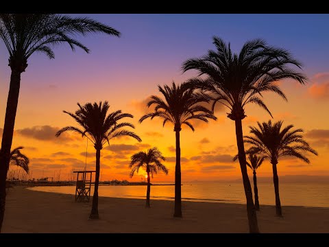 Malle Techno 2023 Hands Up Special 1 Hour  Mega Remix Mix by DJZeaYou