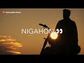 Pahchante Nahin WhatsApp Status