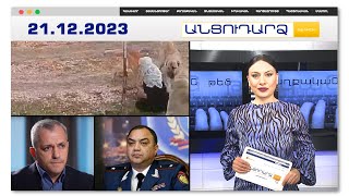 Շների ոհմակը հարձակվել է տարեց կնոջ վրա.բացառիկ կադրեր
