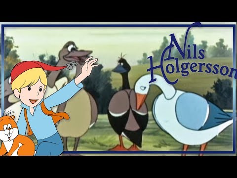 Nils Holgersson: Das Gold auf der Schäre - Folge 50 auf Deutsch in ganzer Länge