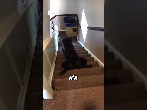 Un Petit Clou, Un Gros Problème 💥