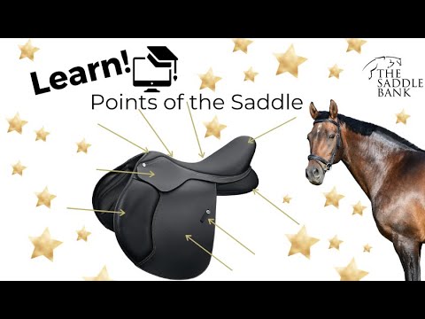 Do you know the points of the saddle?