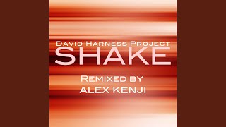 Shake (DHJ Main Mix)