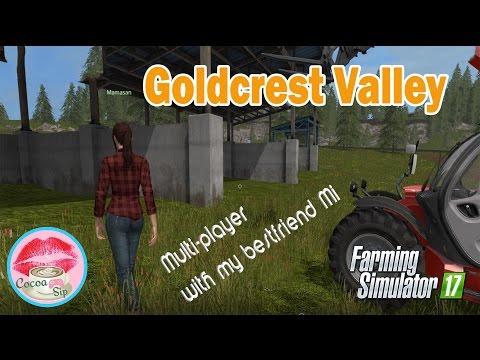 Farming Simulator 2017 Goldcrest Valley - Equipment Setup - Part 3