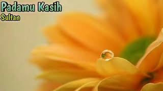 Download lagu Sultan   Padamu Kasih   Lagu Kenangan   Lirik mp3