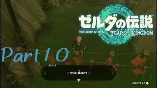 1回ハイラル救ってる英雄でもそんな怒られることある？？？？？-ゼルダの伝説 Tears of the Kingdom -part10-