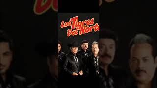 Ya te vele. Los tigres del norte