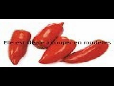 , title : '12 Meilleures Variétés De Tomates Anciennes:Tomate Ananas,Coeur de Boeuf Rose,Cornue,Delice Jardin'