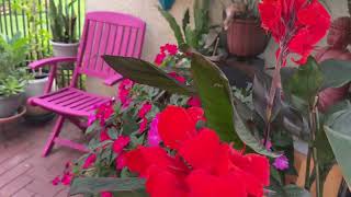 Retiring in America - small joys, BIG happiness