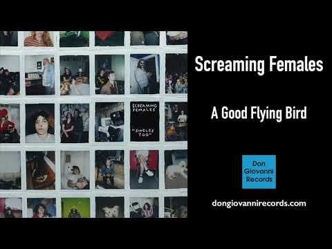 Video thumbnail for A Good Flying Bird