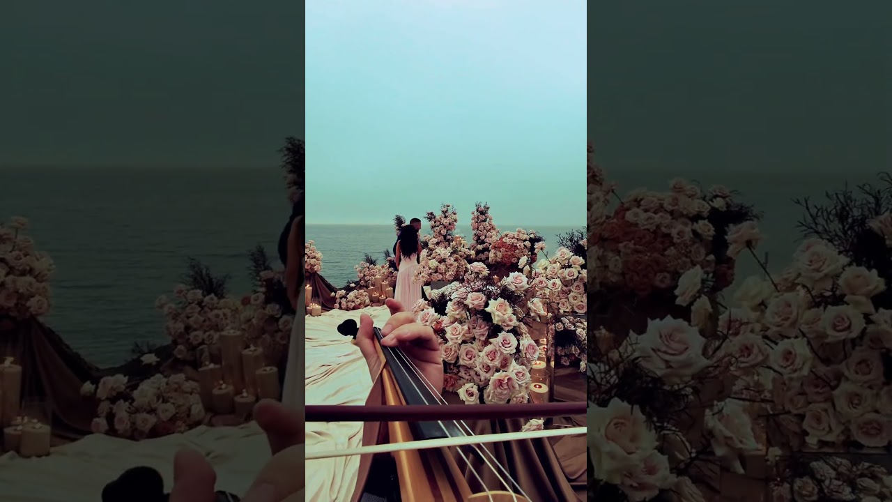 Promotional video thumbnail 2 for StepanViolin|Wedding & Event Violinist