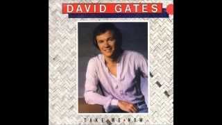 DAVID GATES (BREAD)_Take Me Now_5º ALBUM SOLO