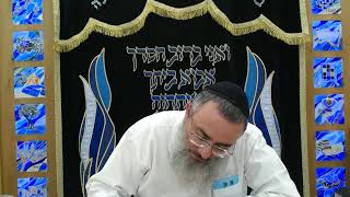 הרב דניאל אלול - תנאים - רבי טרפון 4 - הוראותיו תלמידיו ומאמריו - י' תמוז תשפ"ה (הרב דניאל אלול) - התמונה מוצגת ישירות מתוך אתר האינטרנט יוטיוב. זכויות היוצרים בתמונה שייכות ליוצרה. קישור קרדיט למקור התוכן נמצא בתוך דף הסרטון