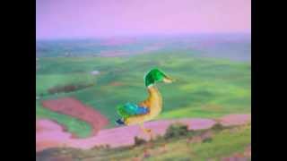 Deerhoof - Come See The Duck with Lyrics