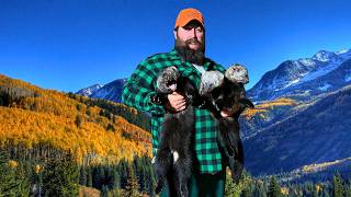 Best Day Trapping Off Grid Life: Episode 21