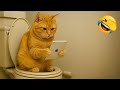Essayer De Ne Pas Rire Les Animaux Les Plus Drôles Partie 3