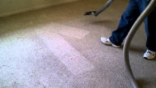 Best Carpet Cleaning Chemical