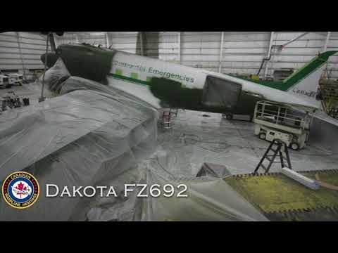 Dakota FZ692 Painting