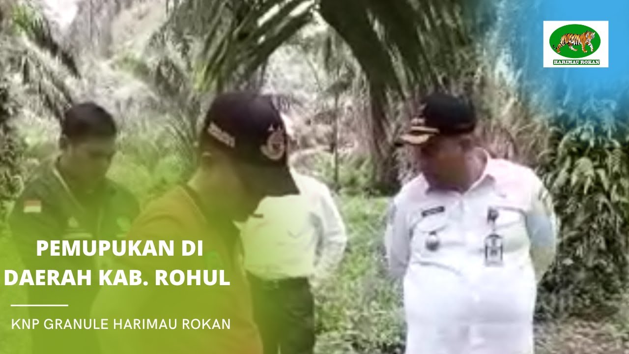 Pemupukan di Kebun Bapak Siregar