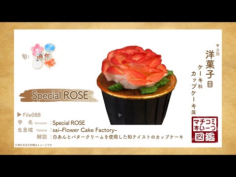 Archivo de libro ilustrado de dulces.88 “Special ROSE”/Kawagoe City sai-FlowerCakeFactory-