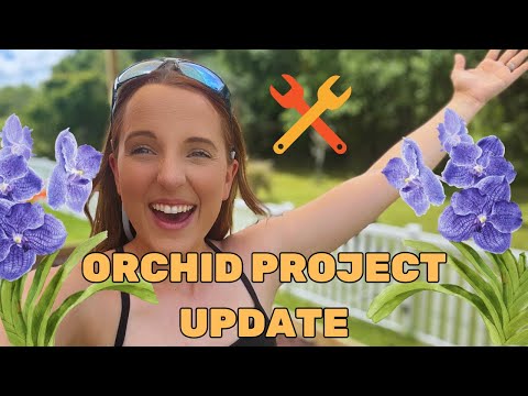 2024 Orchid Project Update 💪🏻🪴